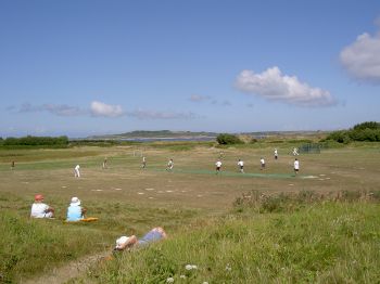 Cricket playground